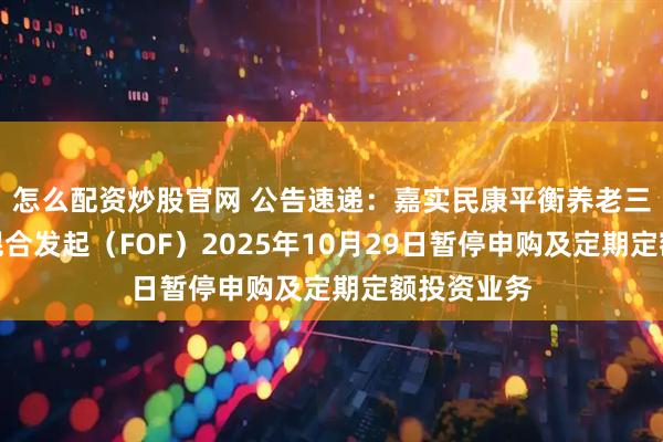怎么配资炒股官网 公告速递：嘉实民康平衡养老三年持有期混合发起（FOF）2025年10月29日暂停申购及定期定额投资业务