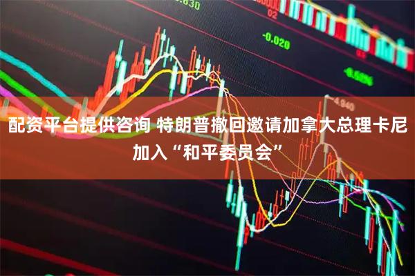 配资平台提供咨询 特朗普撤回邀请加拿大总理卡尼加入“和平委员会”