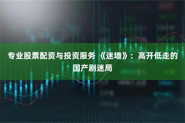 专业股票配资与投资服务 《迷墙》:高开低走的国产剧迷局